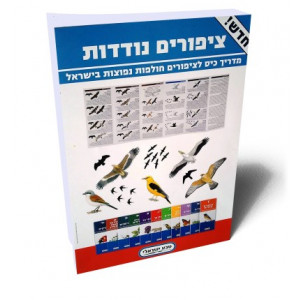 Read more about the article מאמר חדש 2023